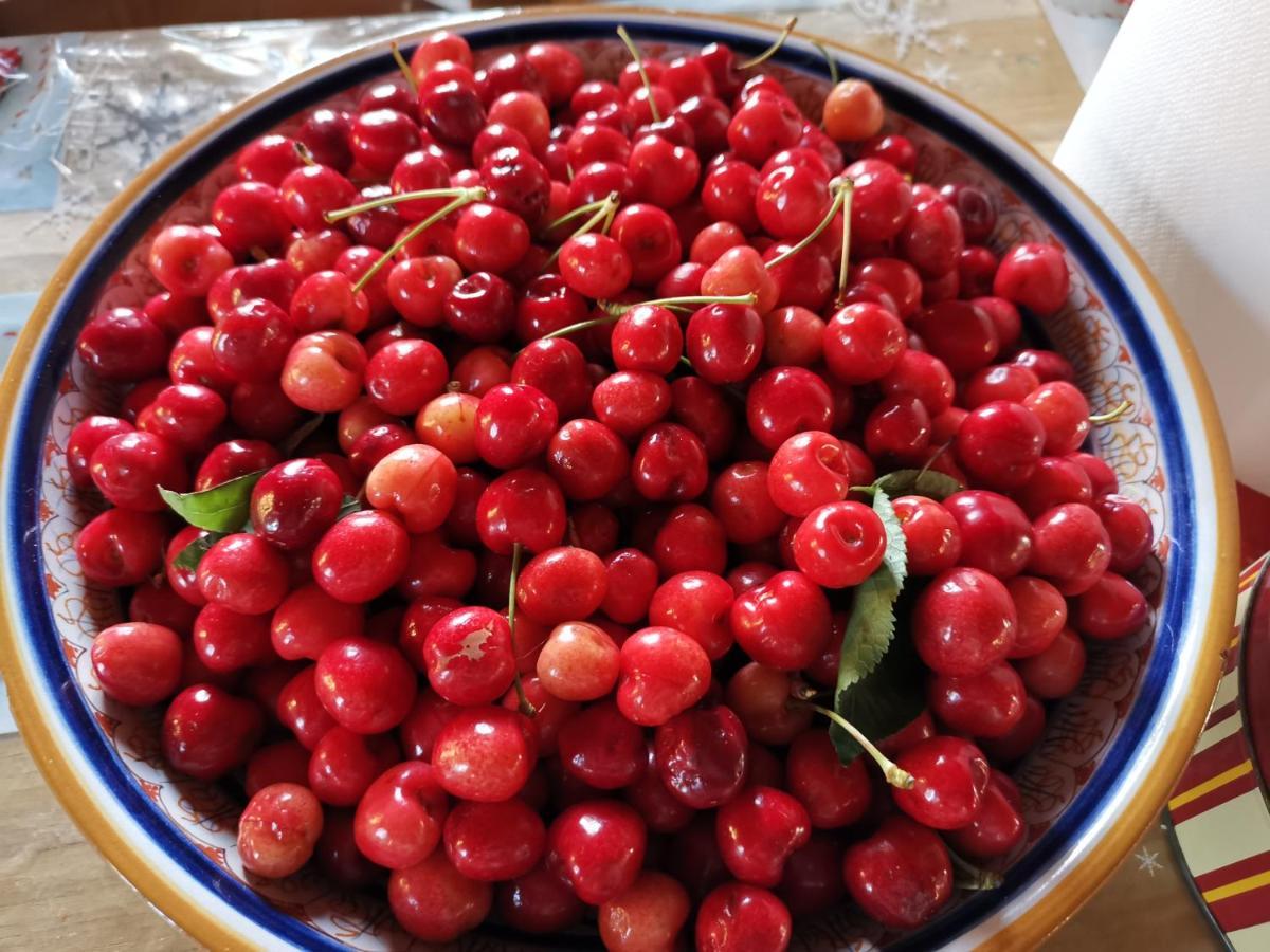 Masseria Le Querciole Fauglia Eksteriør billede