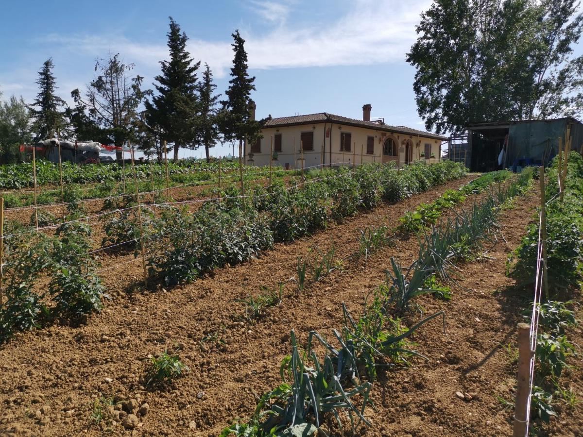 Masseria Le Querciole Fauglia Eksteriør billede