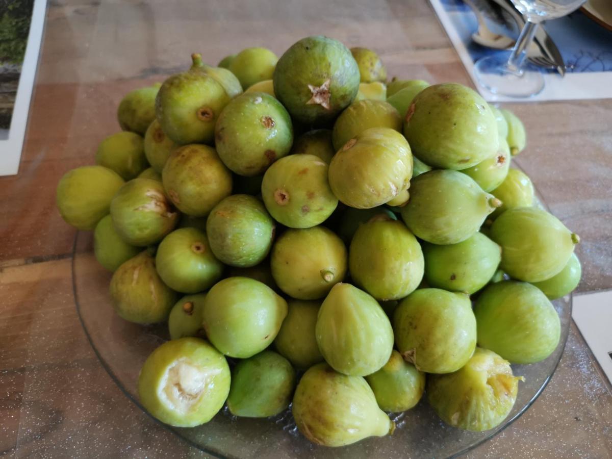Masseria Le Querciole Fauglia Eksteriør billede